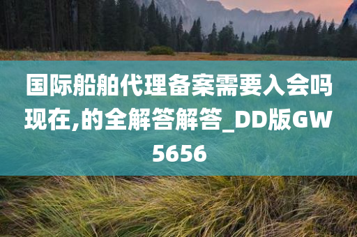 国际船舶代理备案需要入会吗现在,的全解答解答_DD版GW5656