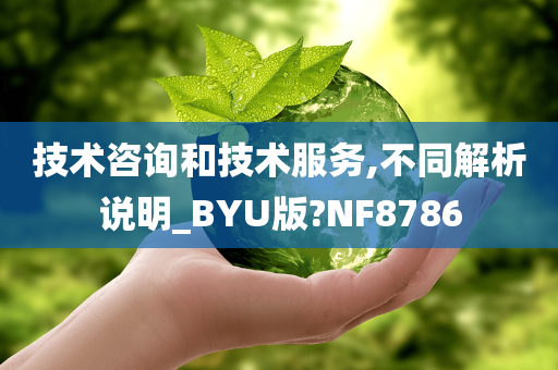 技术咨询和技术服务,不同解析说明_BYU版?NF8786