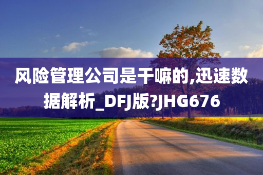 风险管理公司是干嘛的,迅速数据解析_DFJ版?JHG676