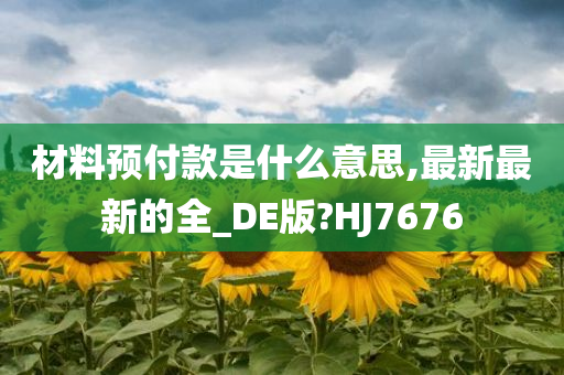 材料预付款是什么意思,最新最新的全_DE版?HJ7676