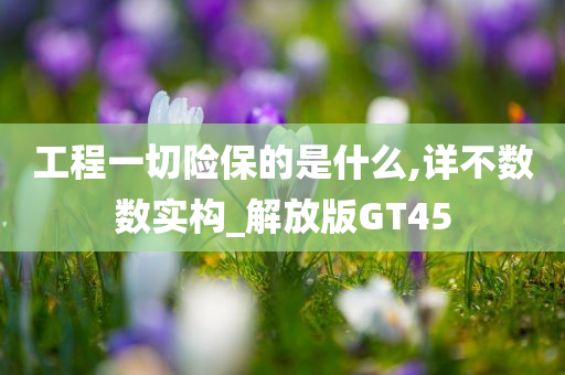 工程一切险保的是什么,详不数数实构_解放版GT45