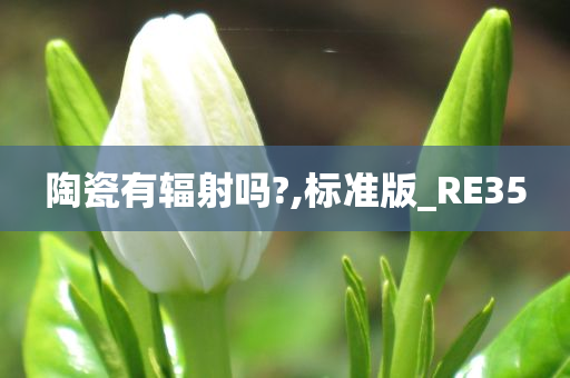 陶瓷有辐射吗?,标准版_RE35