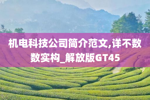 机电科技公司简介范文,详不数数实构_解放版GT45