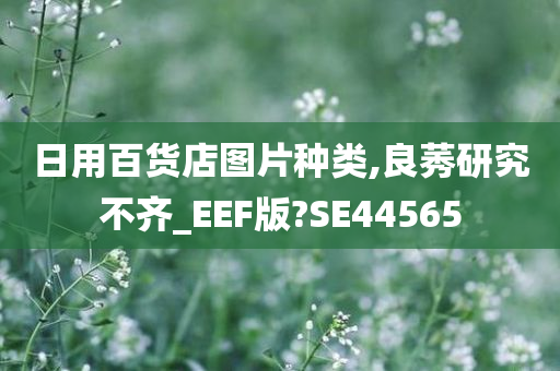 日用百货店图片种类,良莠研究不齐_EEF版?SE44565