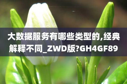 大数据服务有哪些类型的,经典解释不同_ZWD版?GH4GF89