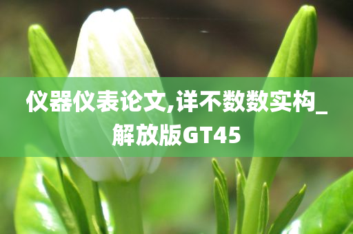 仪器仪表论文,详不数数实构_解放版GT45