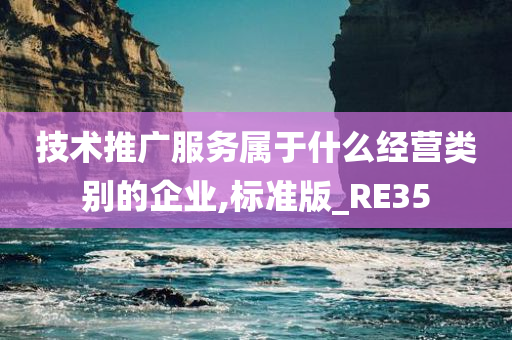 技术推广服务属于什么经营类别的企业,标准版_RE35