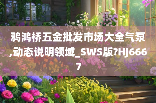 鸦鸿桥五金批发市场大全气泵,动态说明领域_SWS版?HJ6667