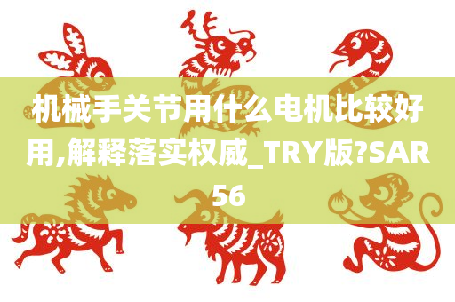 机械手关节用什么电机比较好用,解释落实权威_TRY版?SAR56