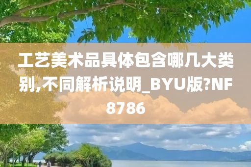 工艺美术品具体包含哪几大类别,不同解析说明_BYU版?NF8786