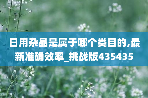 日用杂品是属于哪个类目的,最新准确效率_挑战版435435