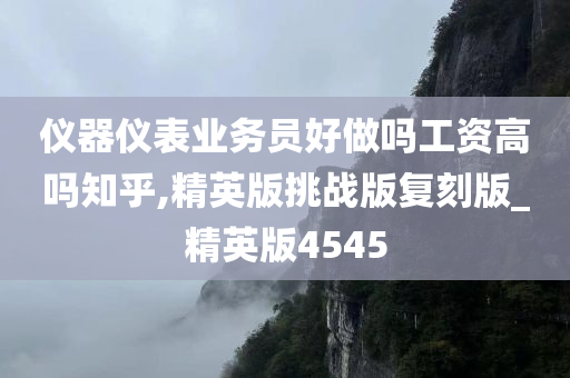 仪器仪表业务员好做吗工资高吗知乎,精英版挑战版复刻版_精英版4545